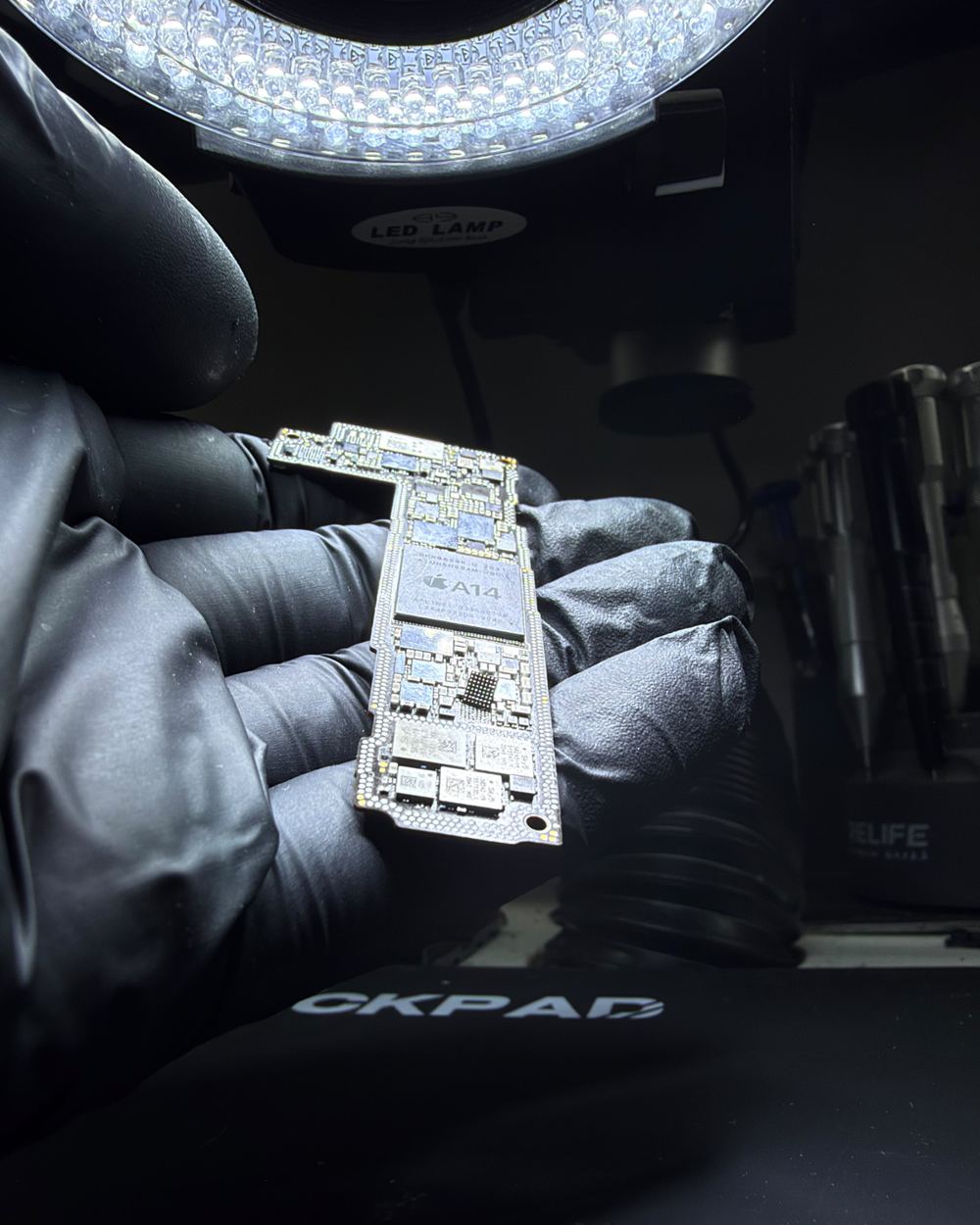 Técnico de MovilFixG sosteniendo la placa de un iPhone bajo el microscopio